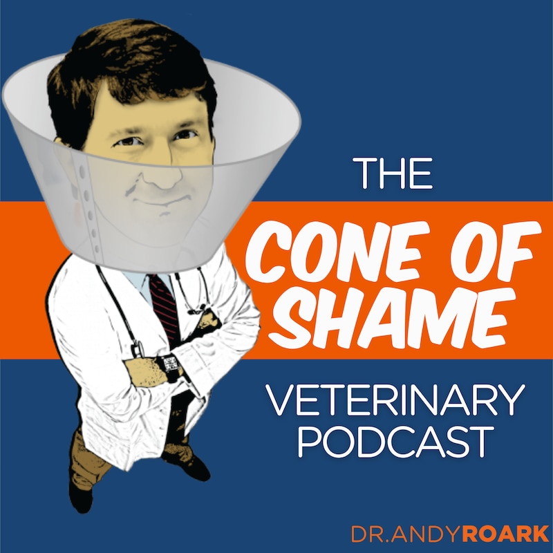 Artwork for podcast The Cone of Shame Veterinary Podcast