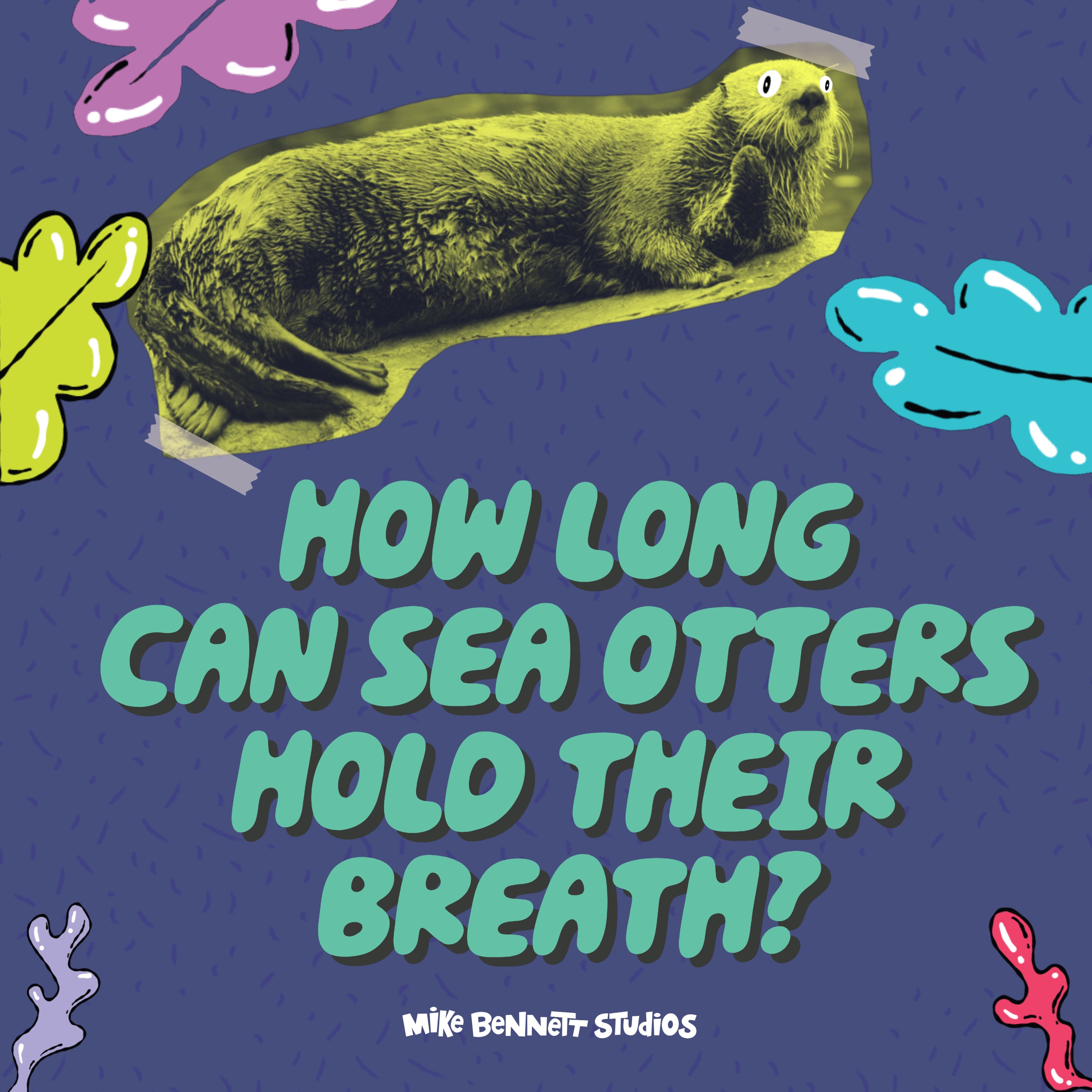 How Long Can Sea Otters Hold Their Breath?