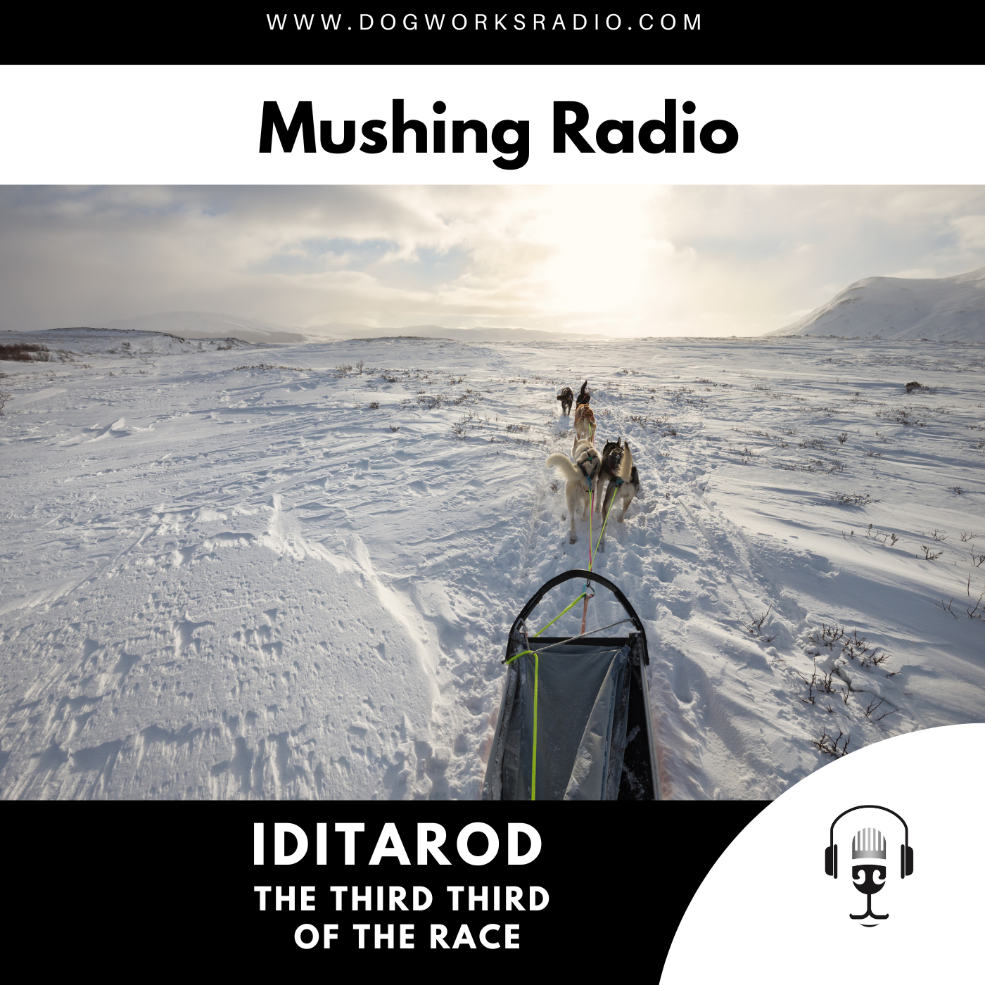 Iditarod 2023 Last Minute Preparations