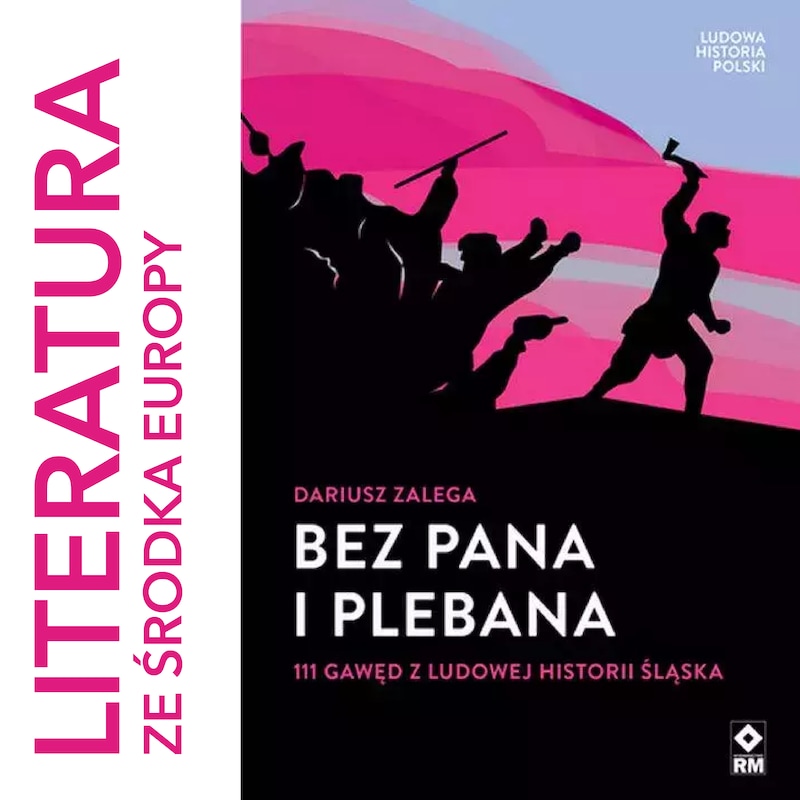 Artwork for podcast literatura ze środka Europy