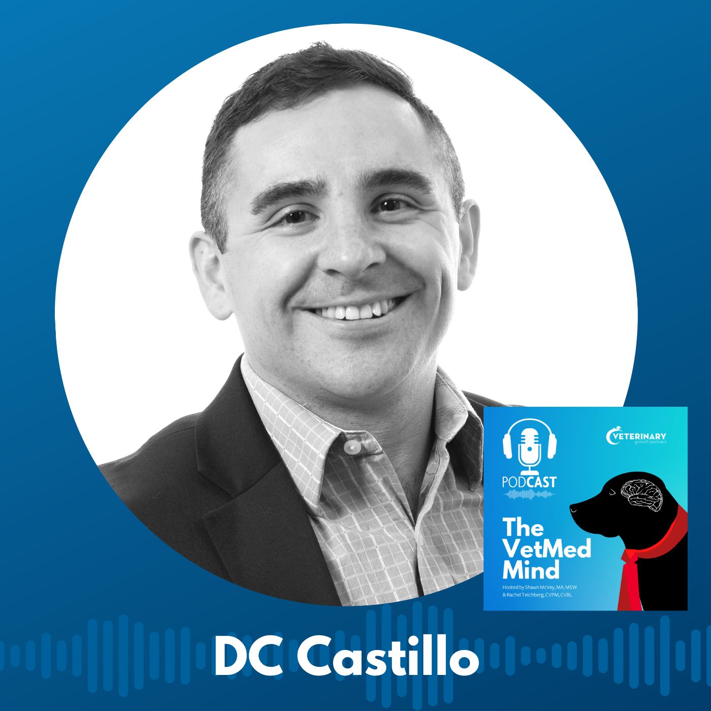 Success Stories & Lessons Learned: DC Castillo