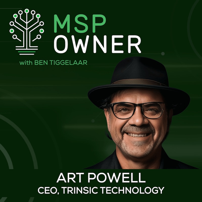 Artwork for podcast MSP Owner