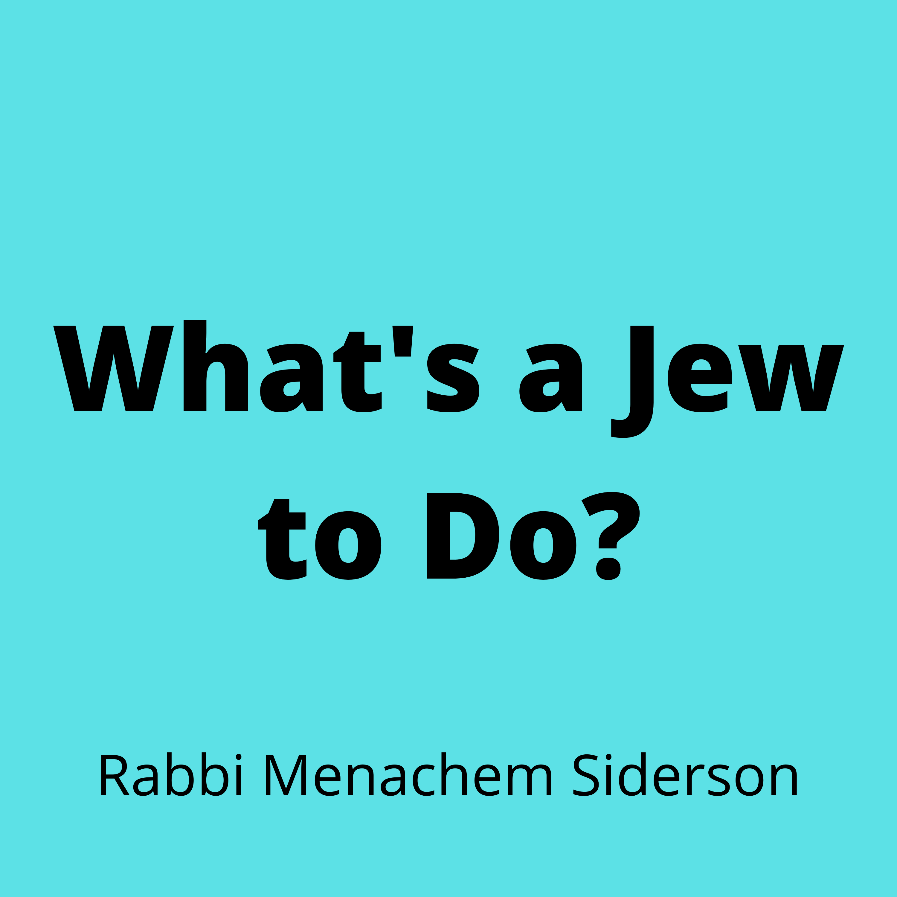 Artwork for What's a Jew to Do?