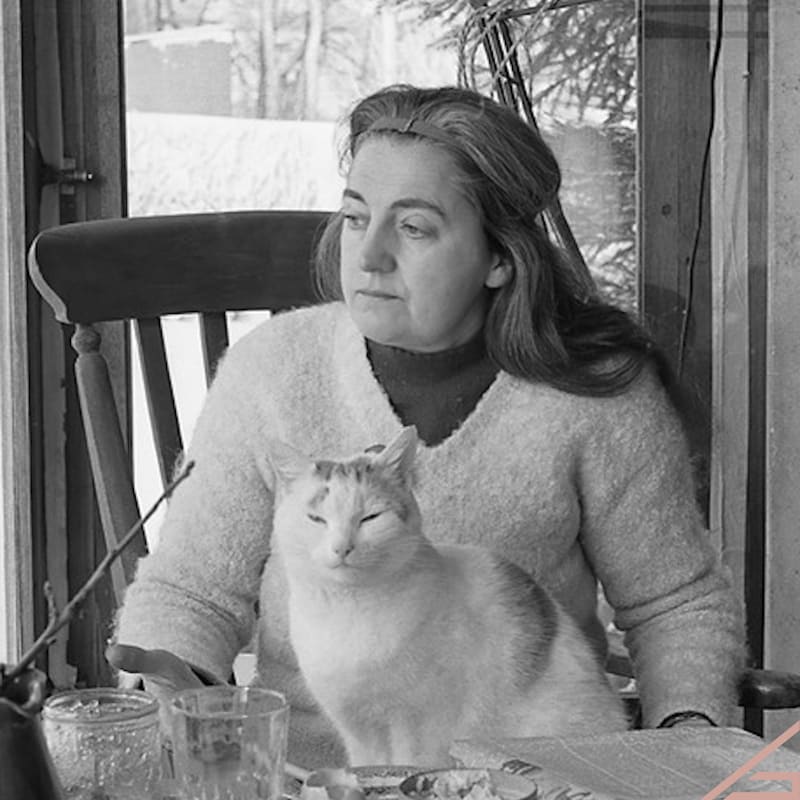 Artwork for podcast She Builds Podcast