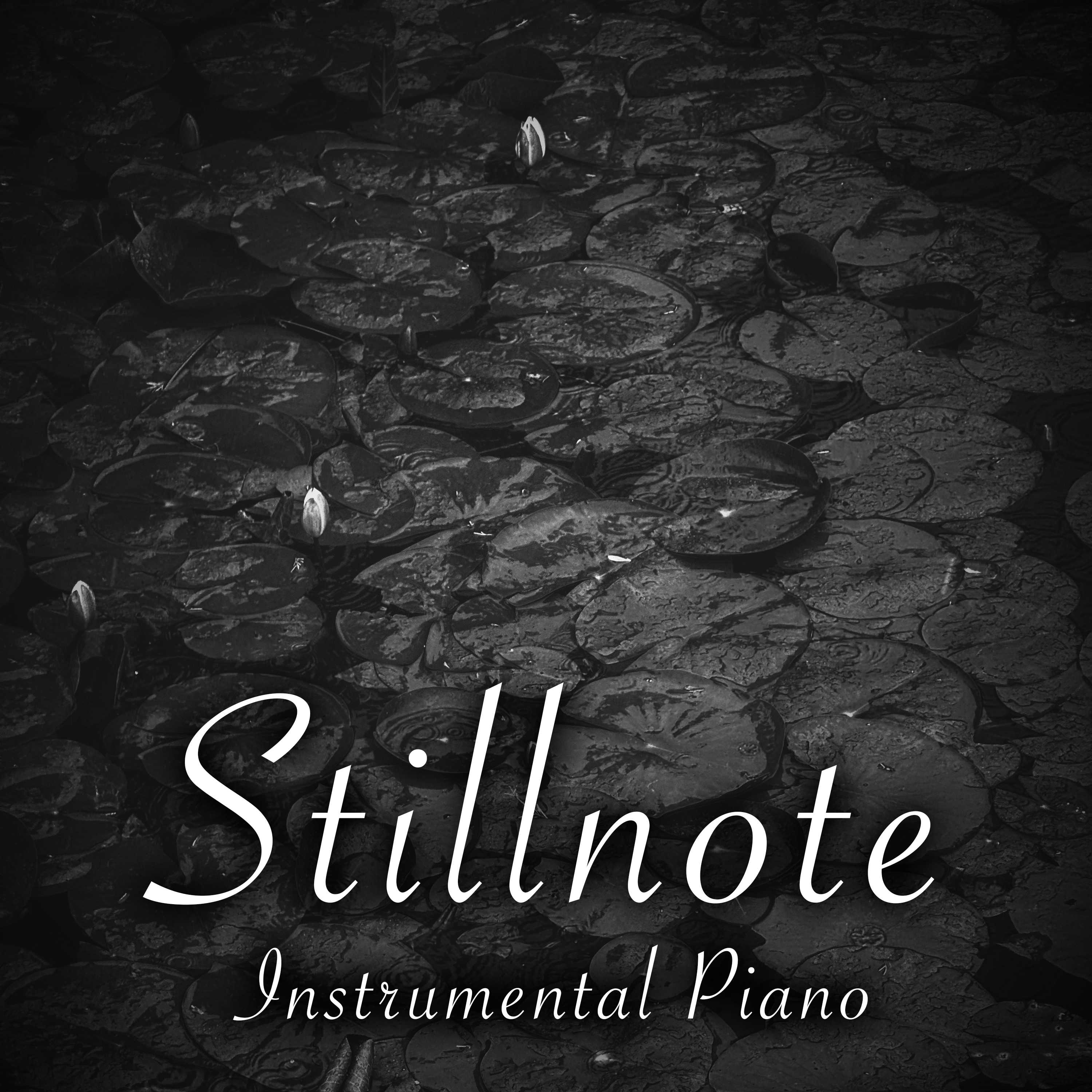 Stillnote Piano for ADHD with Gray Treefrogs - 4 Hours - "Midnight Bloom" episode artwork