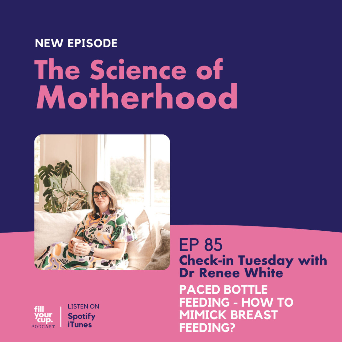 Ep 85. Check In Tuesday with Dr Renee White - Paced Bottle feeding - How to mimick breast feeding?