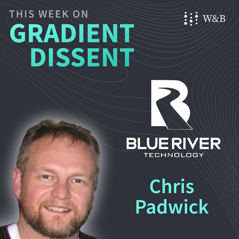 Artwork for podcast Gradient Dissent: Conversations on AI