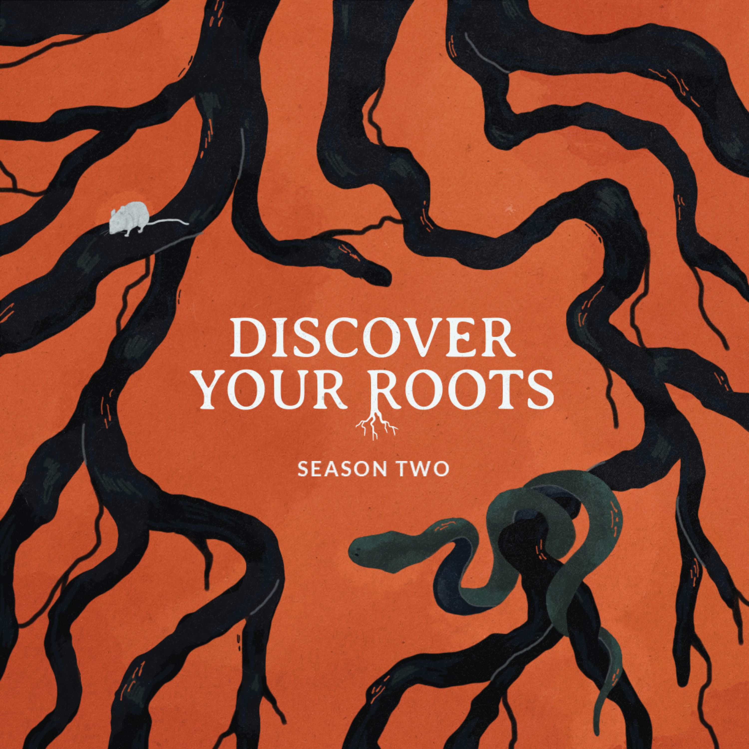 Show artwork for Discover Your Roots