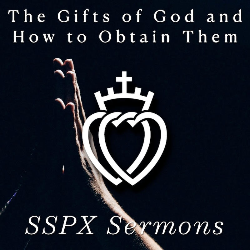 Artwork for podcast SSPX Sermons