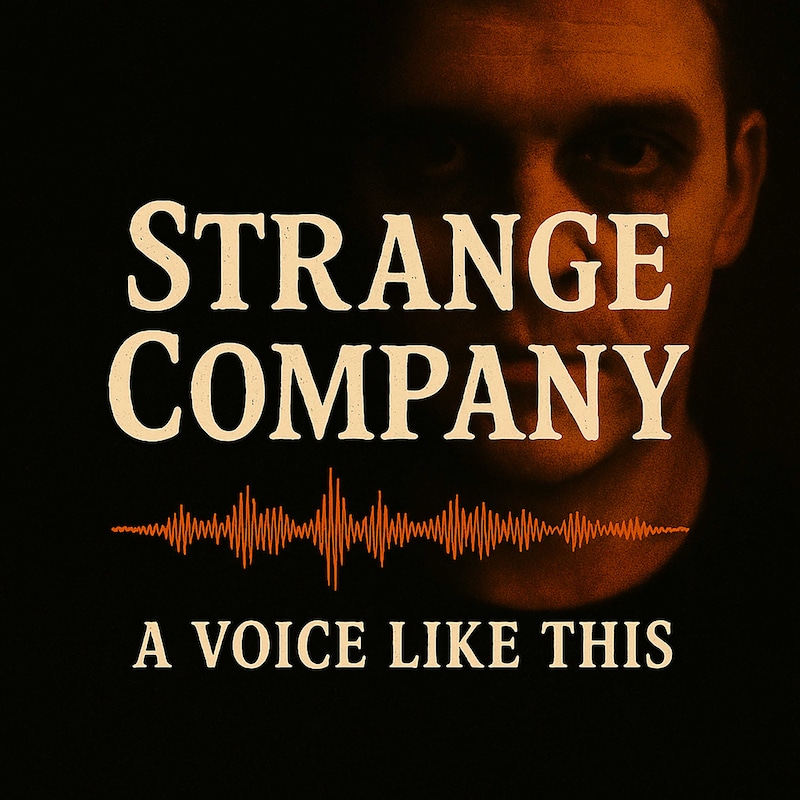 Artwork for podcast A Voice Like This