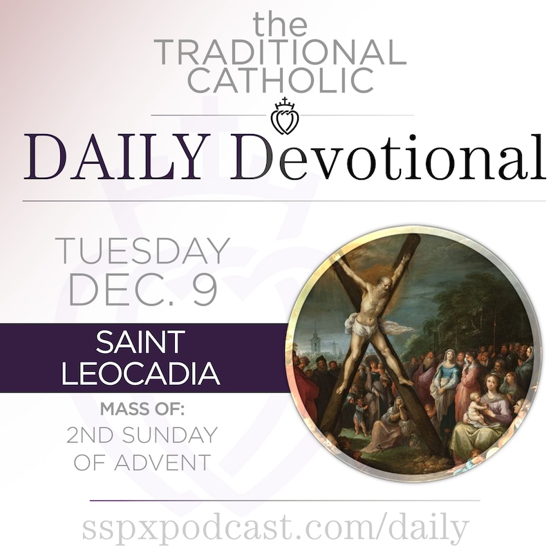 Artwork for podcast Traditional Catholic Daily Devotional