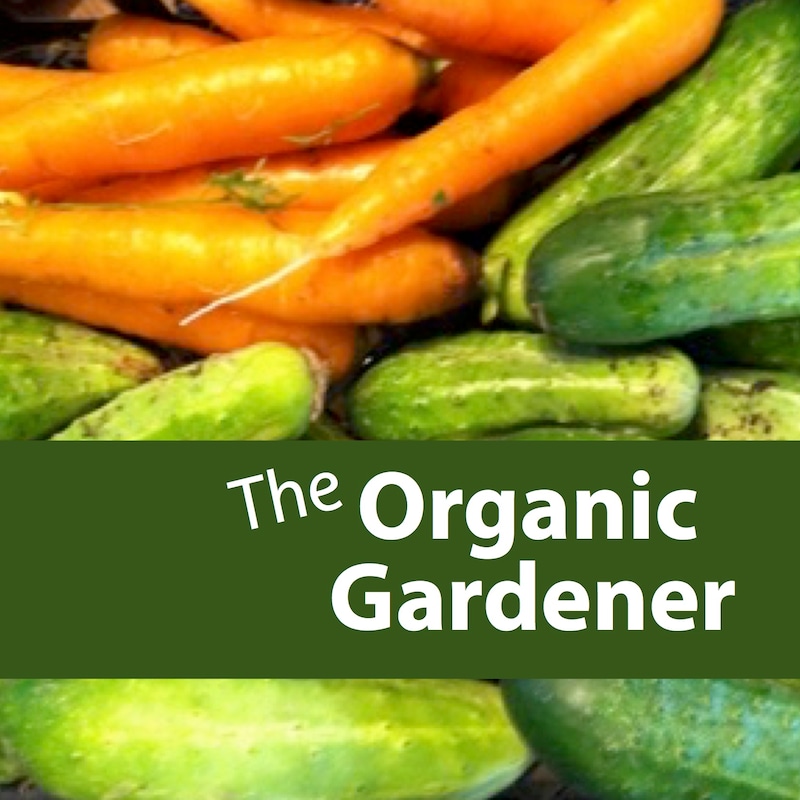 Artwork for podcast GREEN Organic Garden Podcast