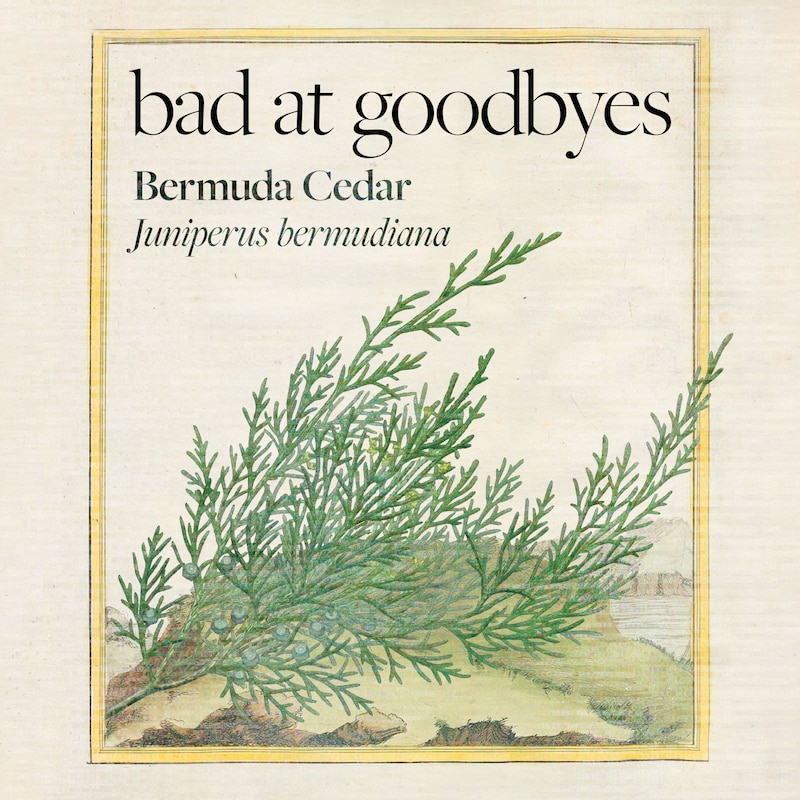 Artwork for podcast Bad at Goodbyes