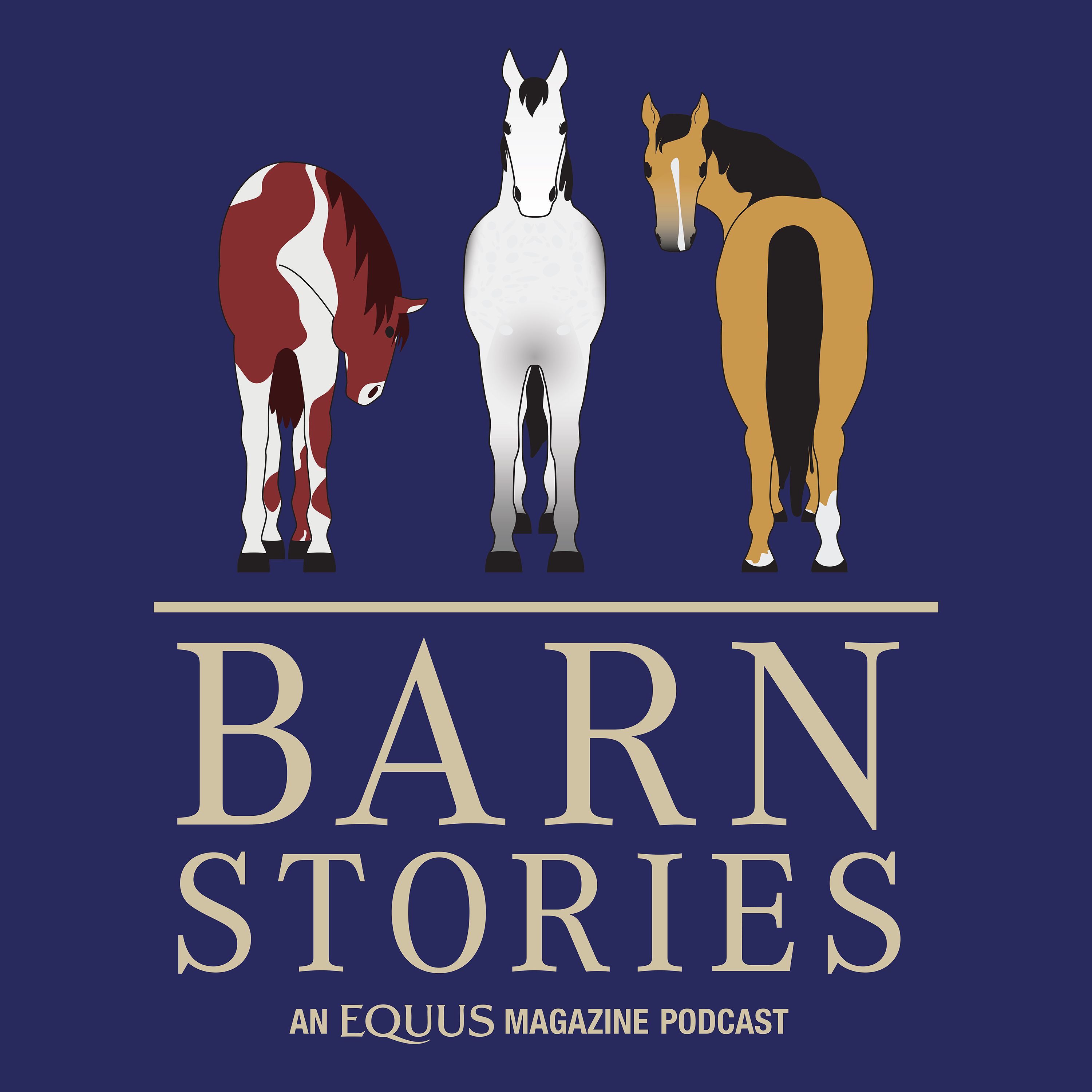 Artwork for podcast Equus Barn Stories
