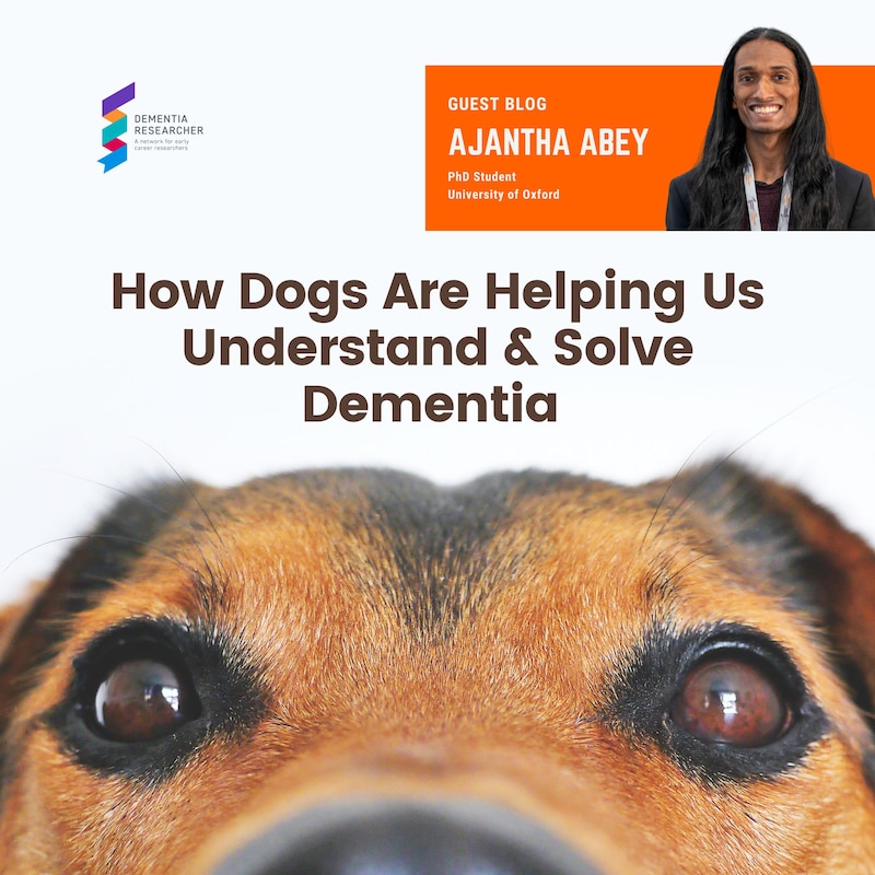 Artwork for podcast Dementia Researcher Blogs