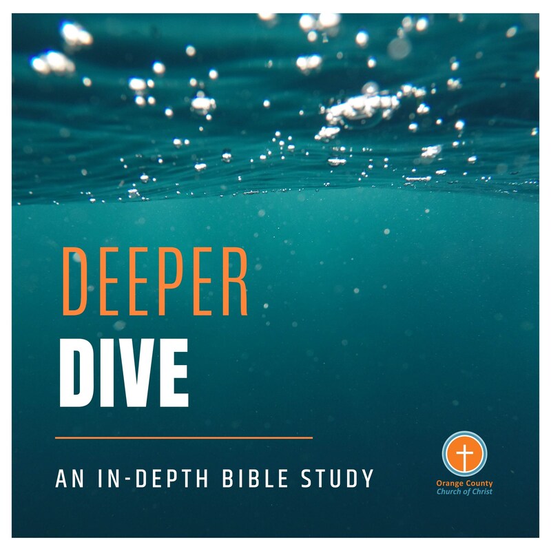 Artwork for podcast Deeper Dive
