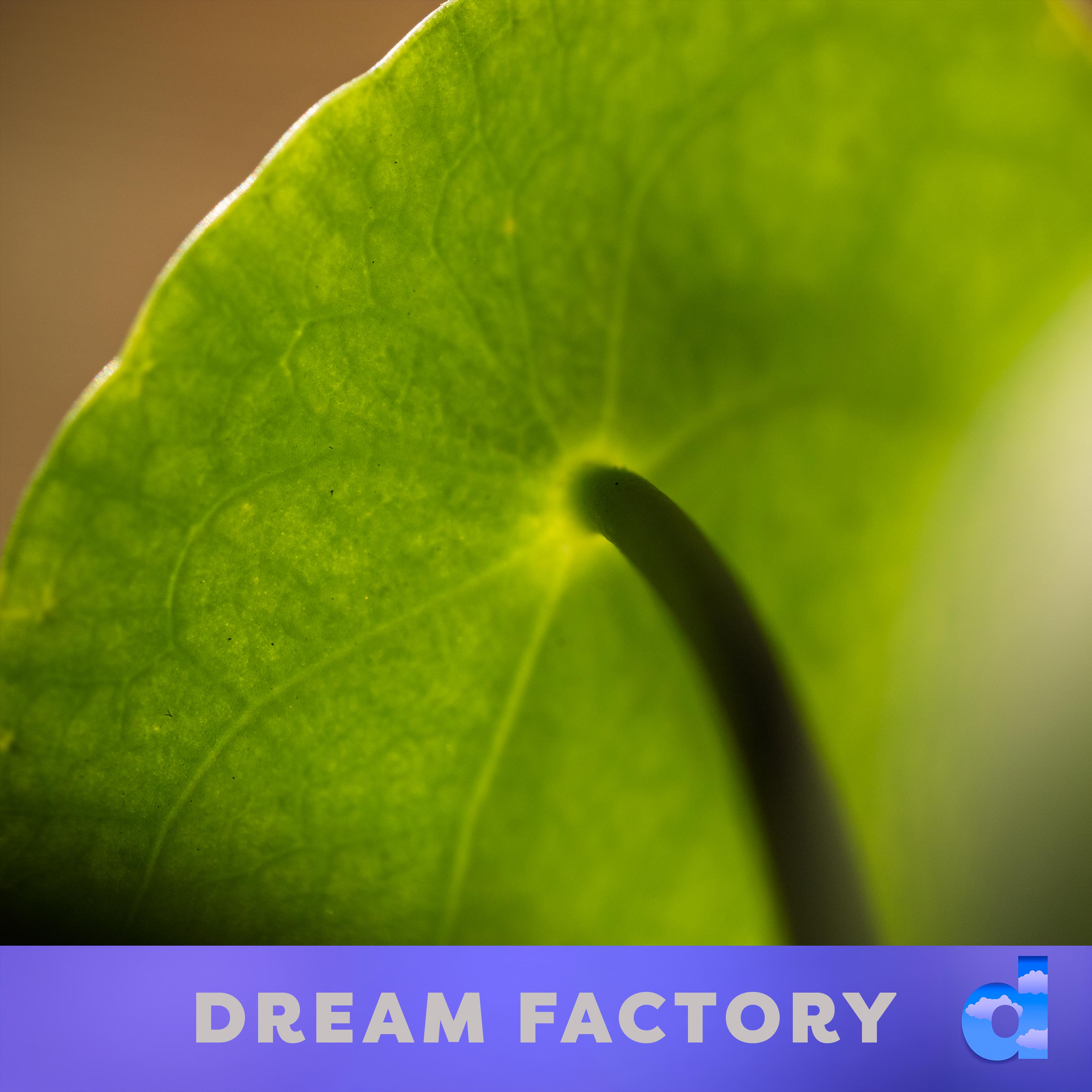 Dream Factory