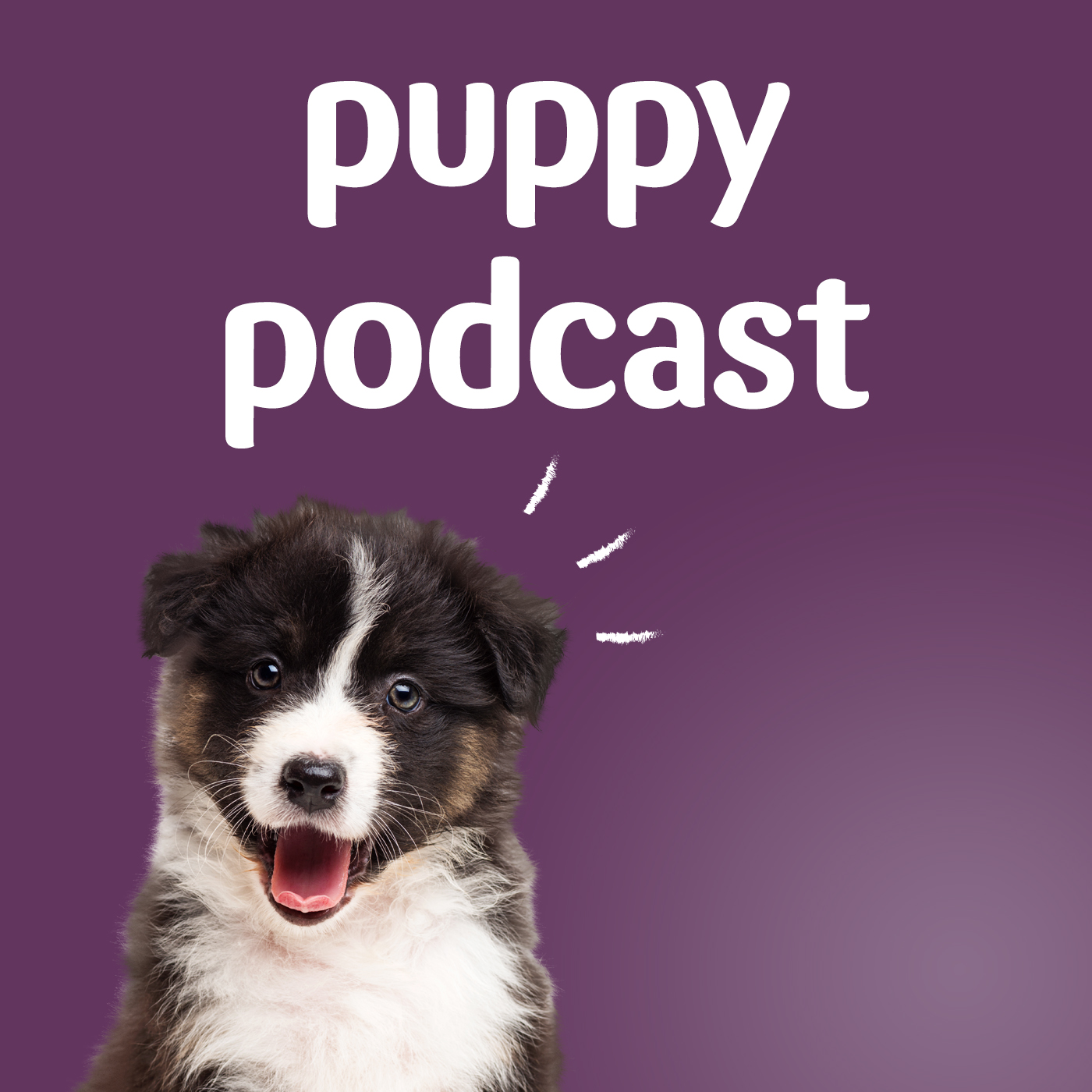 Show artwork for Pets at Home Puppy Podcast