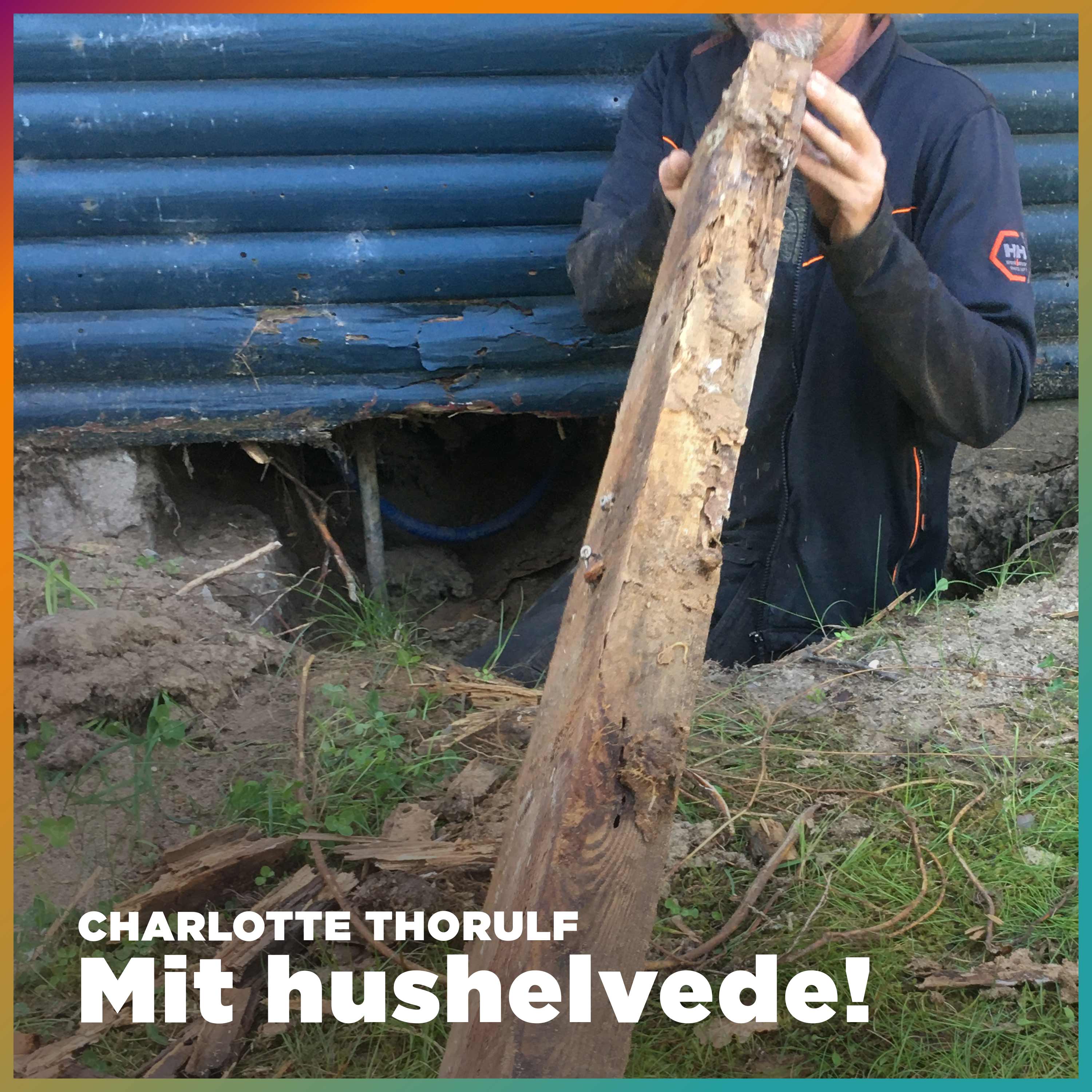 Mit hushelvede af Simon Philip