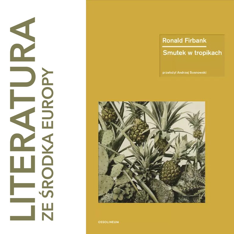 Artwork for podcast Literatura ze środka Europy