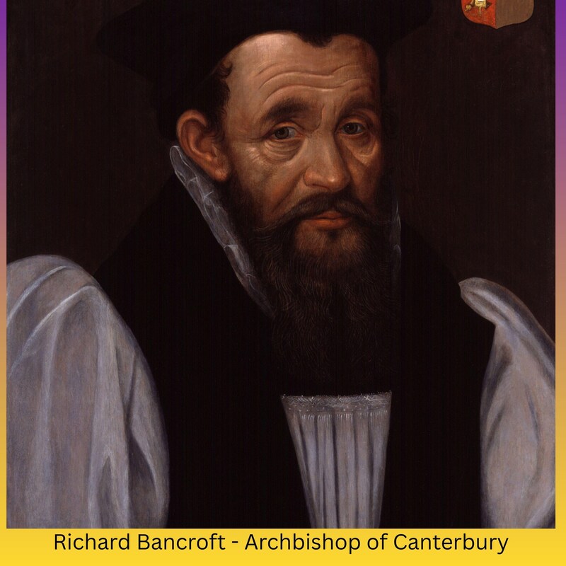 Artwork for podcast The Rise of the Protestants