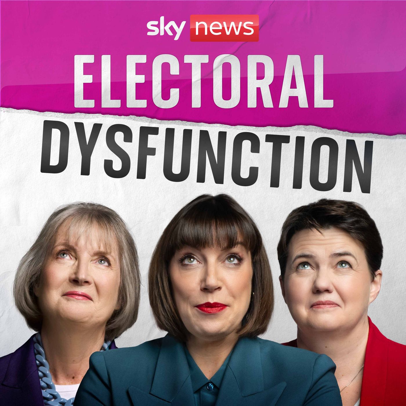 Artwork for Electoral Dysfunction