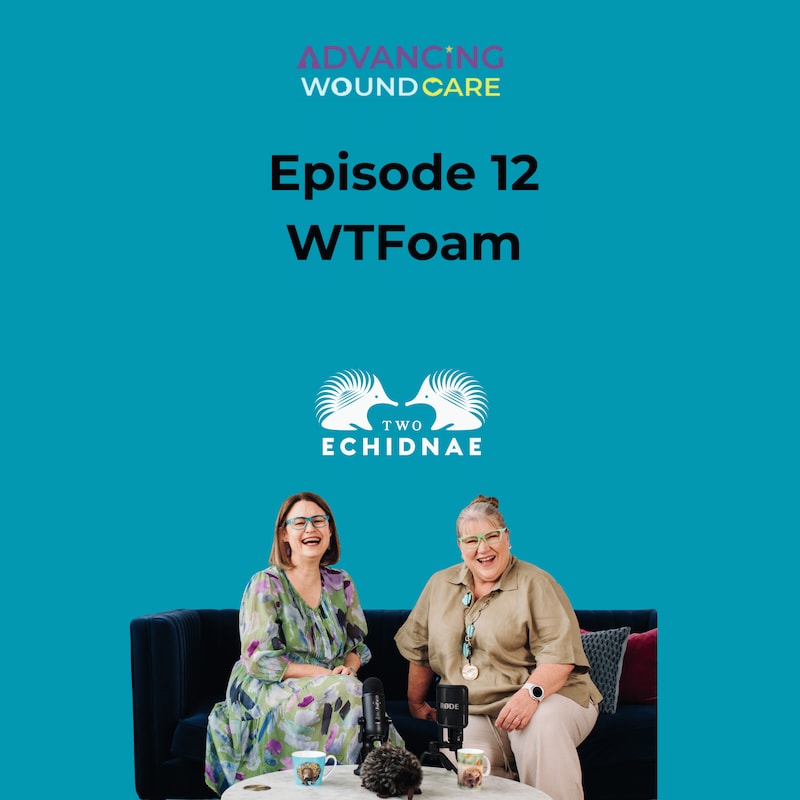 Artwork for podcast Two Echidnae Podcast from Advancing Wound Care