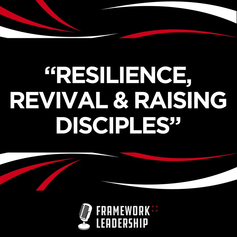 Artwork for podcast Framework Leadership