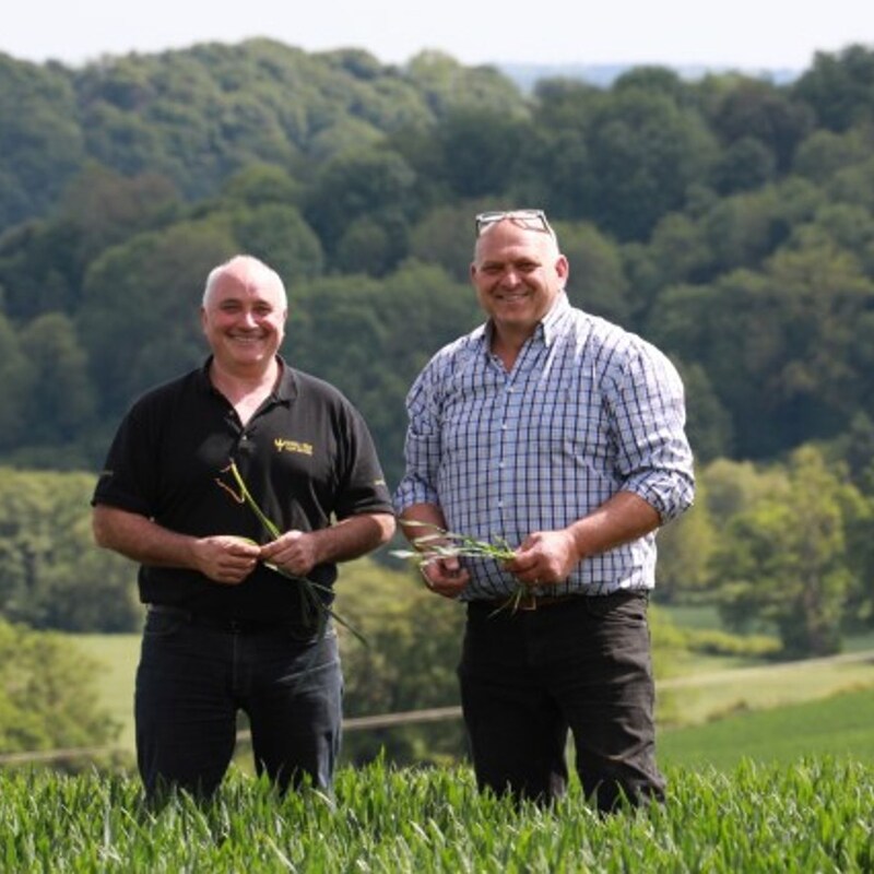 Artwork for podcast AHDB Food & Farming