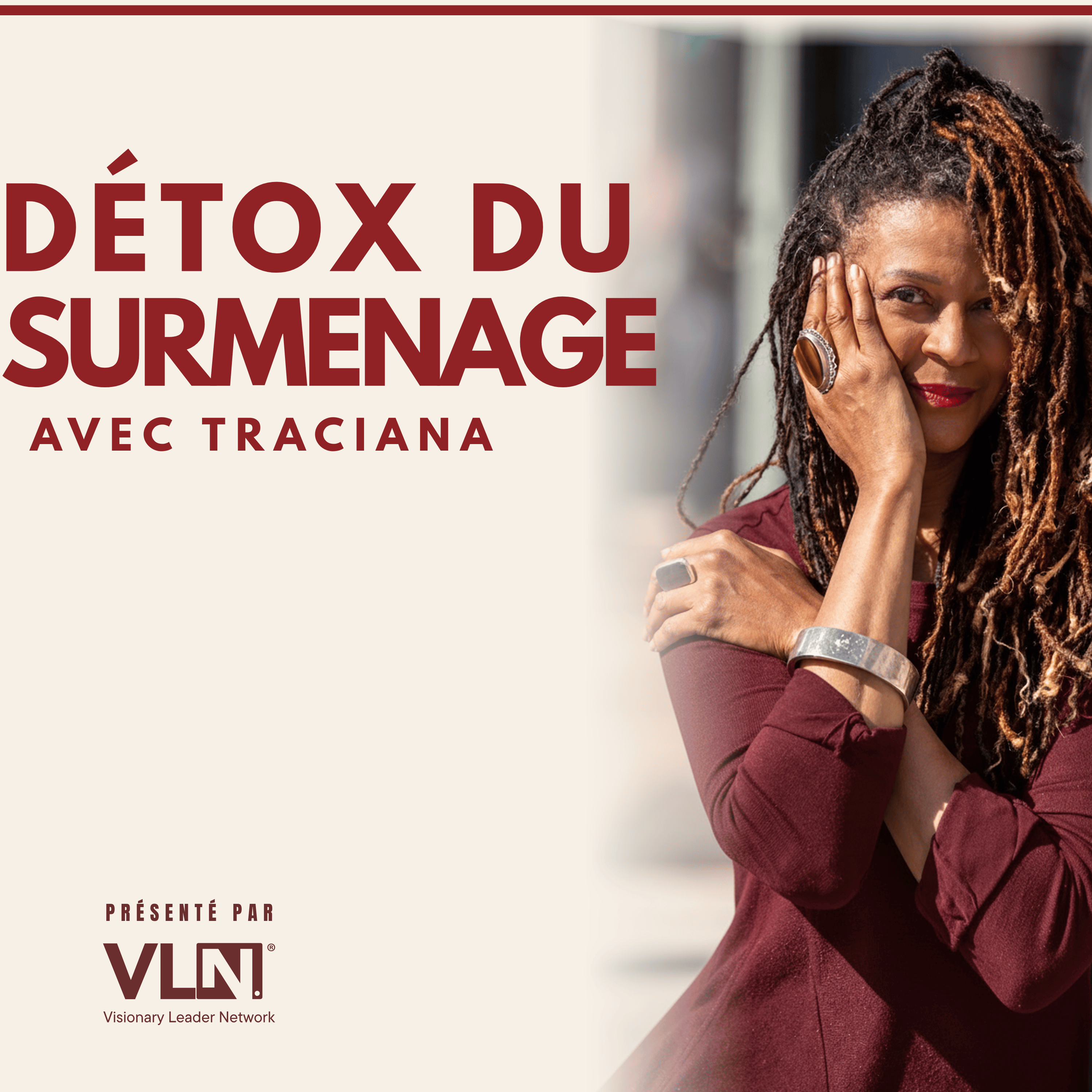 Artwork for Détox du Surmenage : Le Guide du Visionnaire Global pour un Succès Aligné