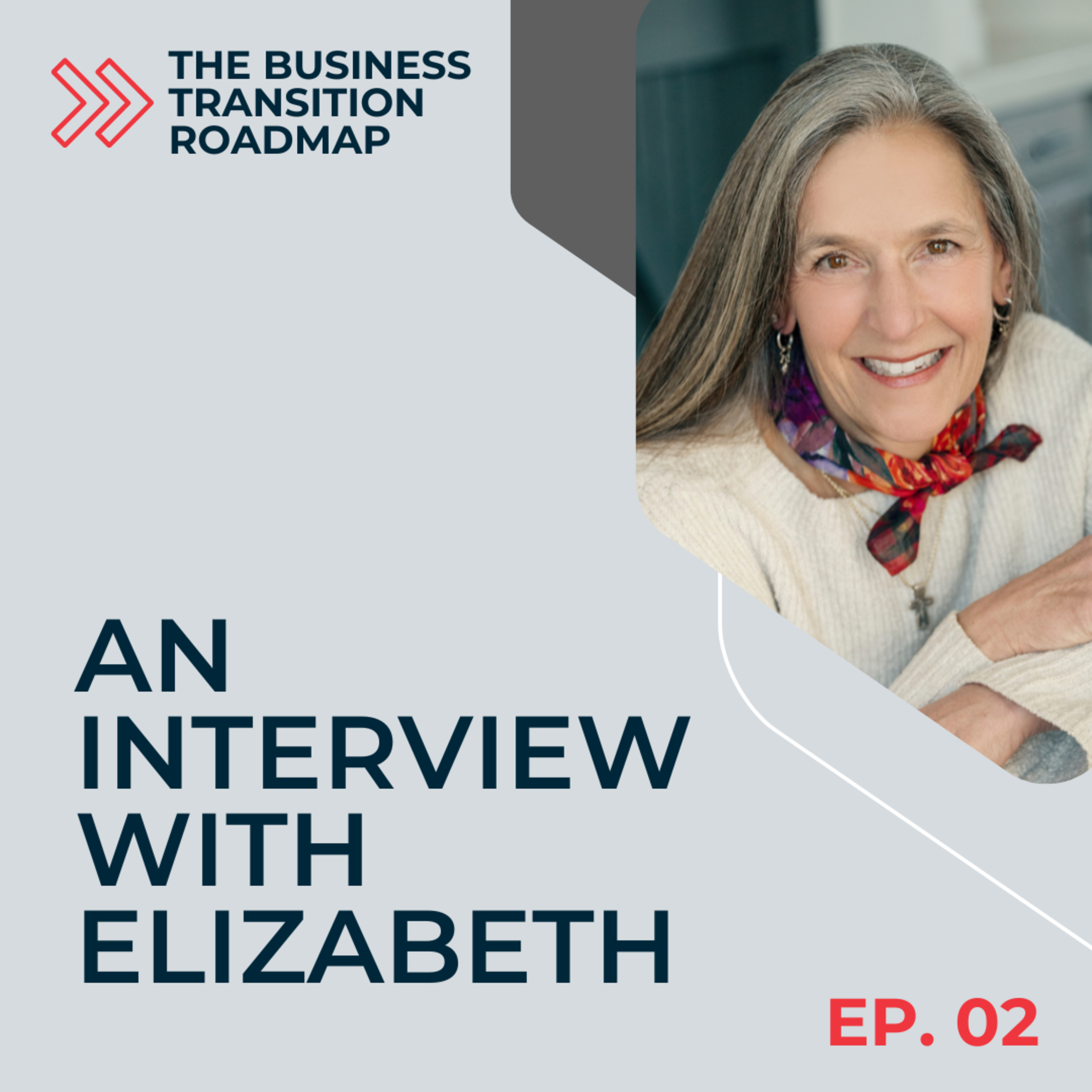 Business Transition Roadmap with Elizabeth Ledoux