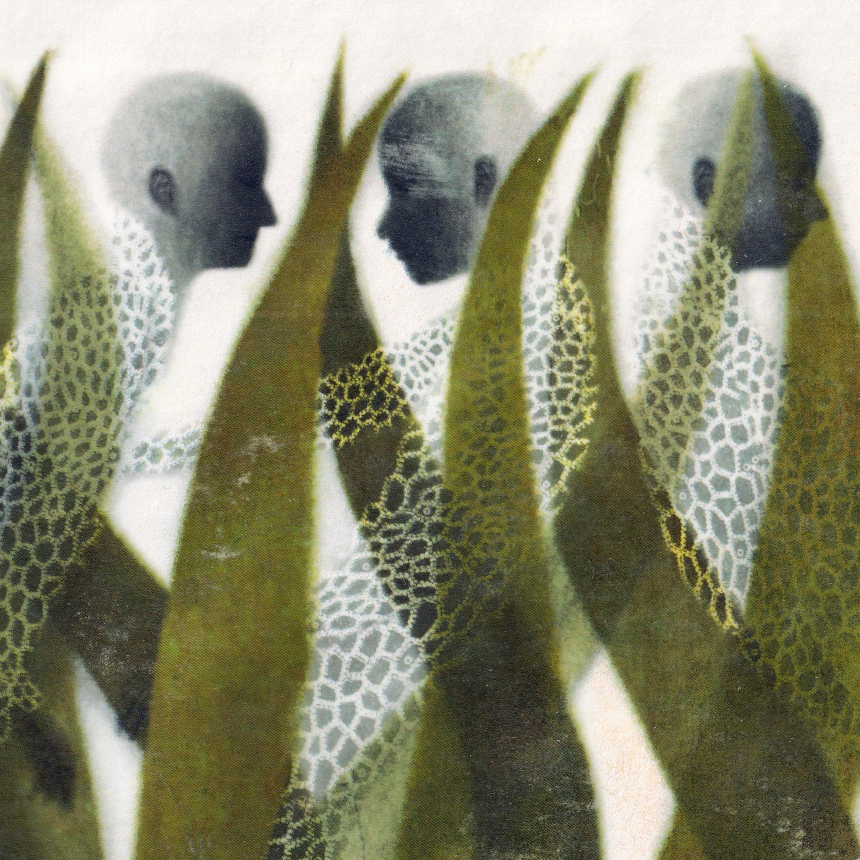 Walking Out of Time — an Emergence Magazine Practice