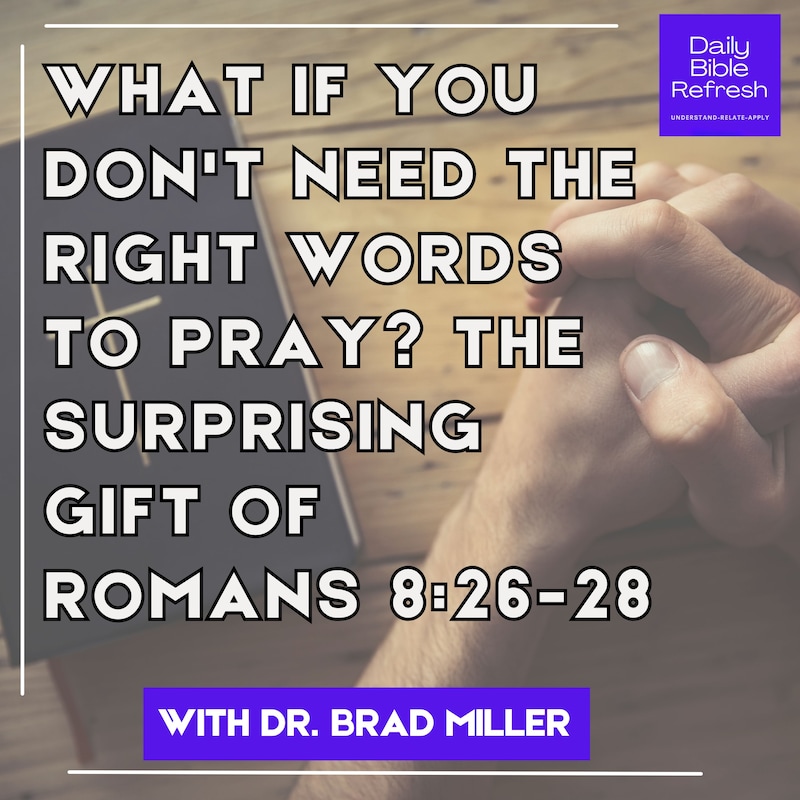 Artwork for podcast Daily Bible Refresh
