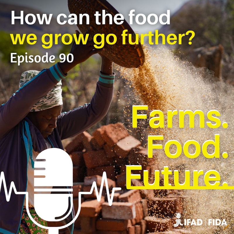 Artwork for podcast Farms. Food. Future.