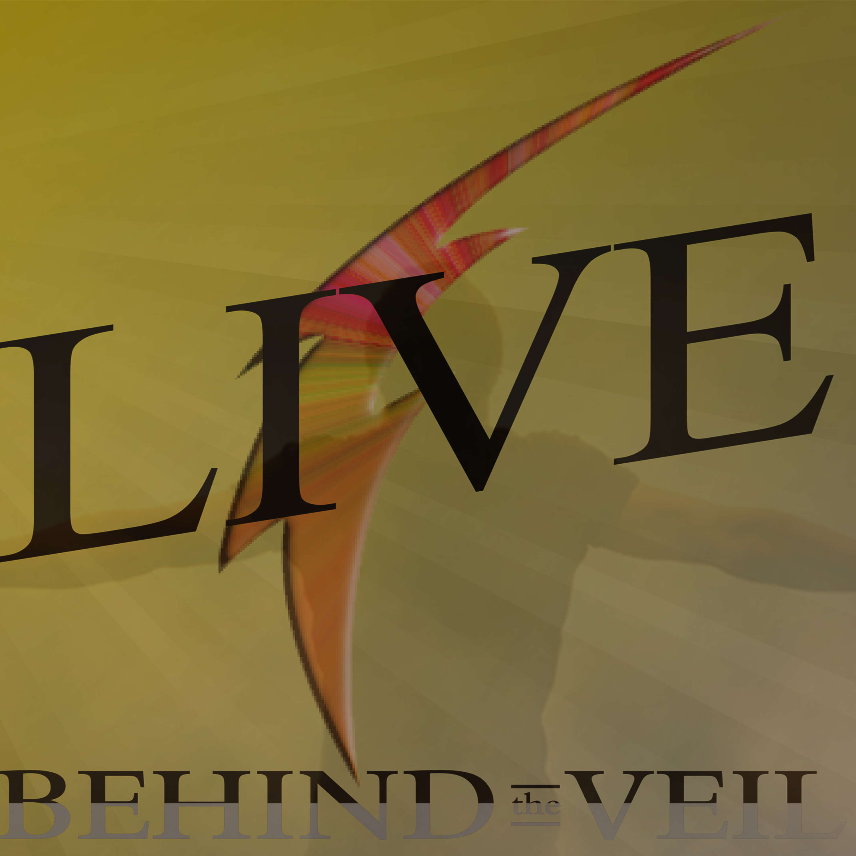 Show artwork for Live Behind The Veil