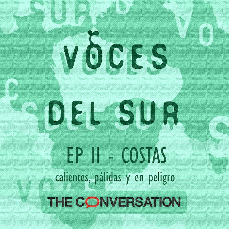 Artwork for podcast Voces del Sur