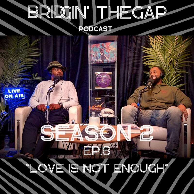 Artwork for podcast Bridgin' The Gap