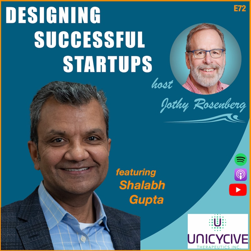 Artwork for podcast Designing Successful Startups