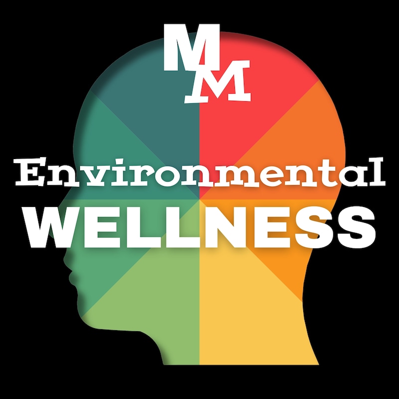 Artwork for podcast Mindful Moolah: A Holistic Financial Wellness Show