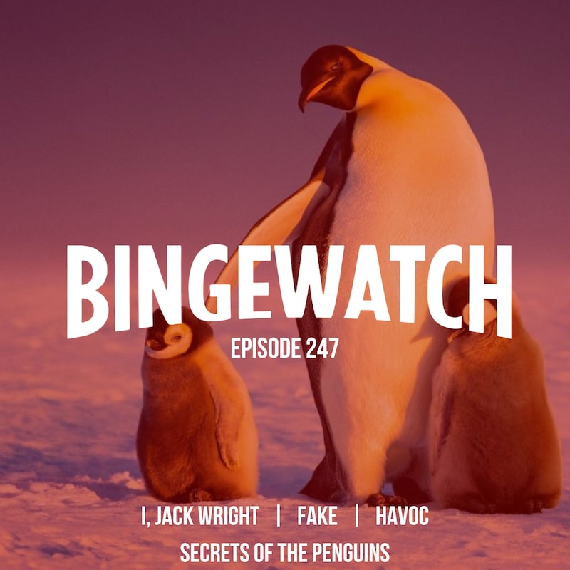 Artwork for podcast Bingewatch