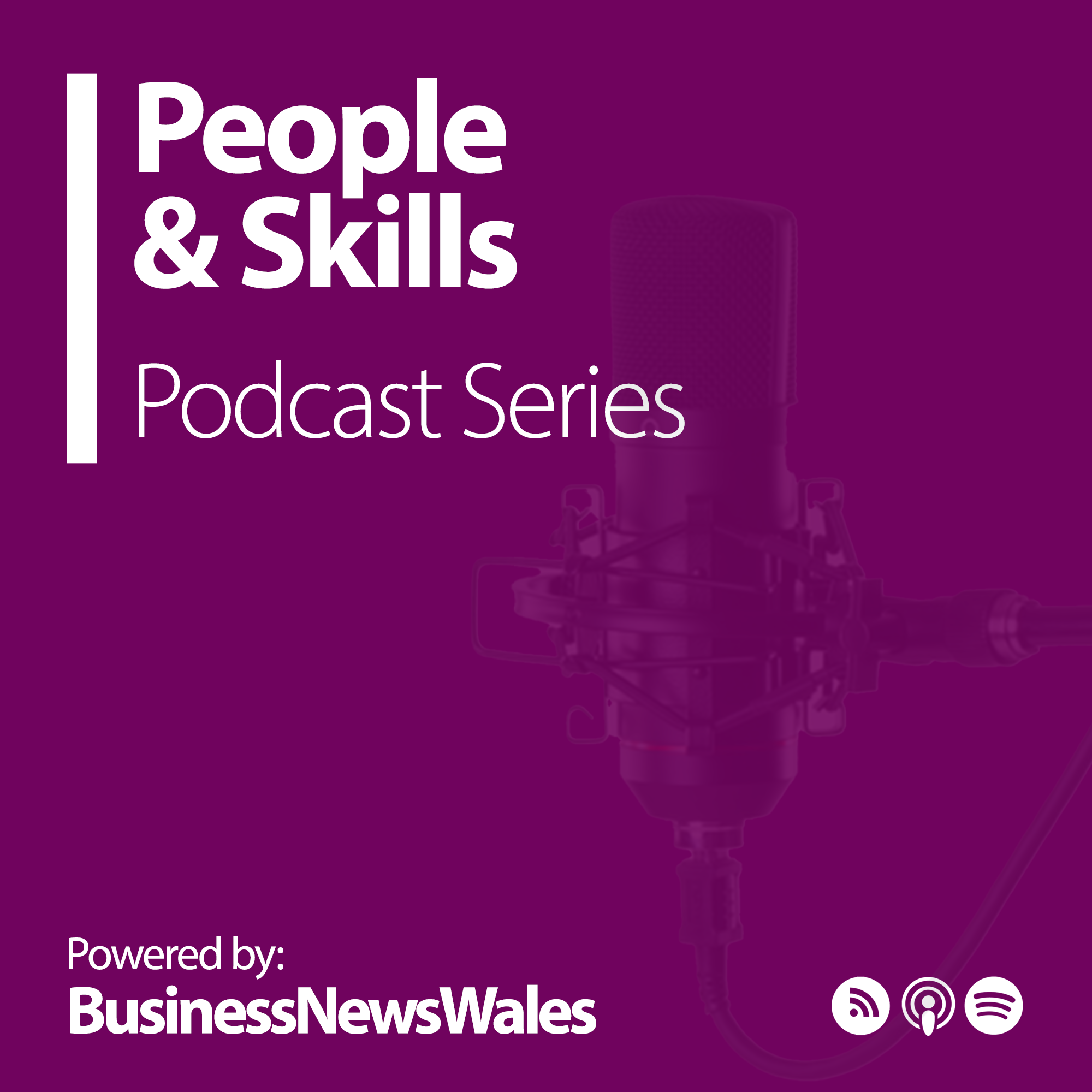 Artwork for People & Skills