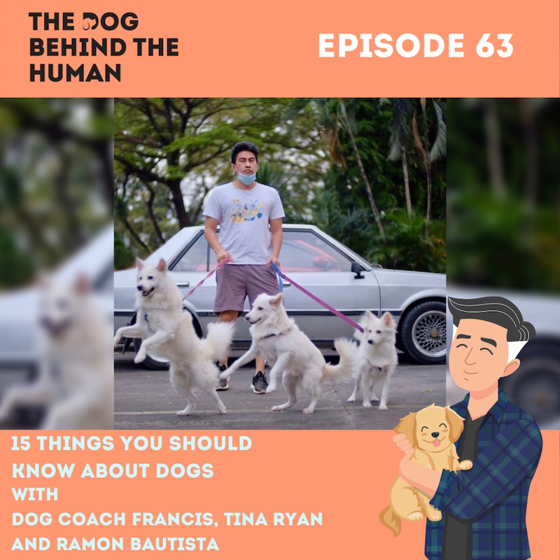 Artwork for podcast The Dog Behind The Human