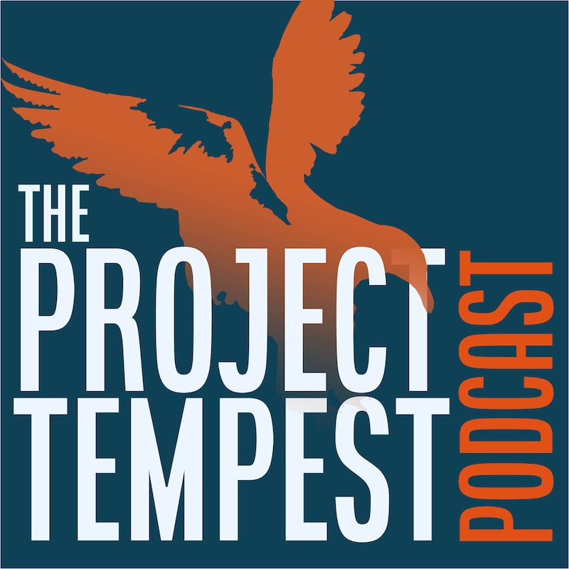 Artwork for podcast Project Tempest