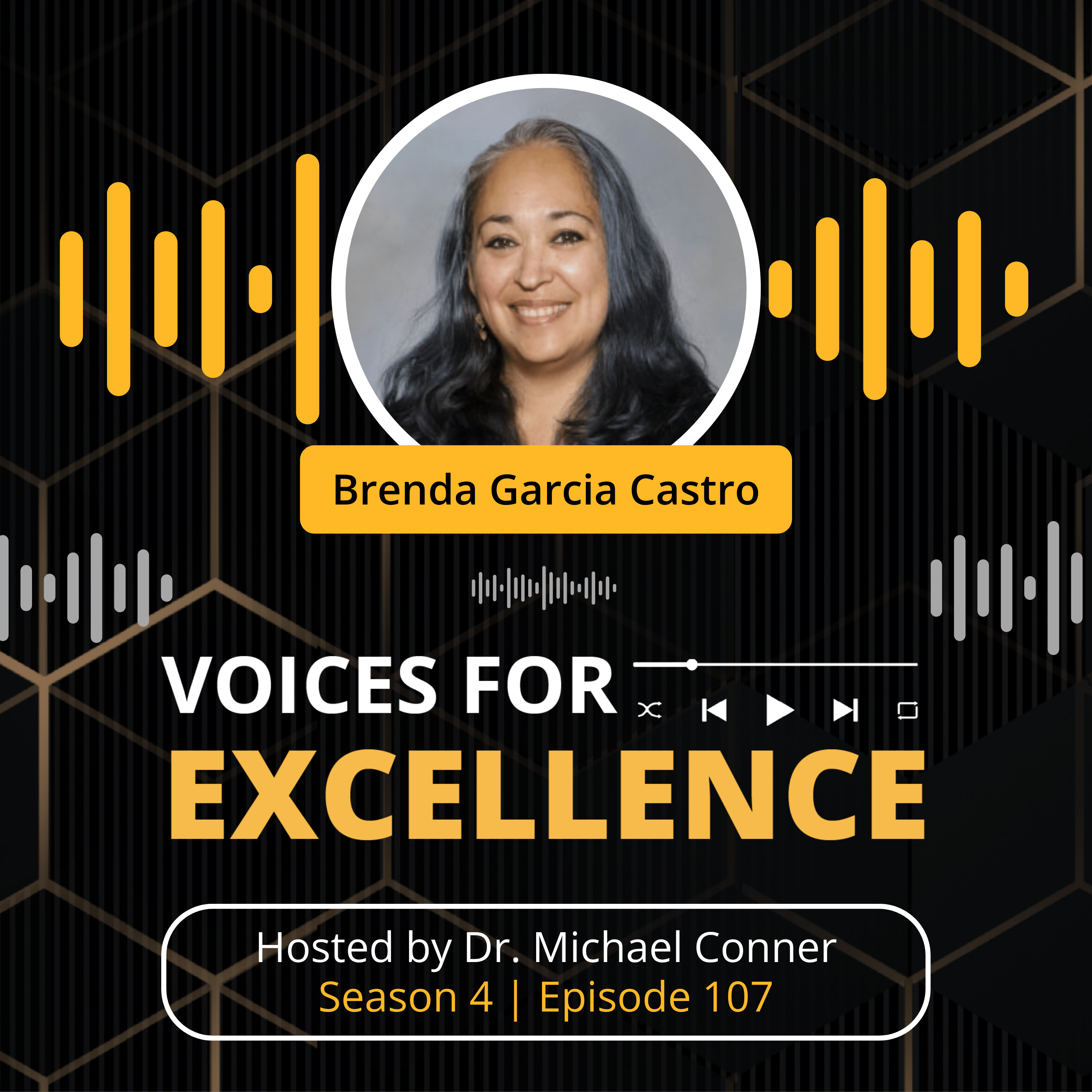 Voices for Excellence