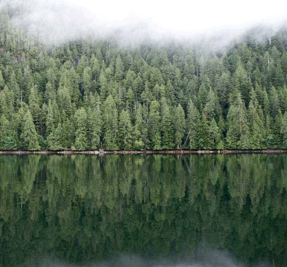 In the Valleys of the Noble Beyond: In Search of the Sasquatch with Writer John Zada