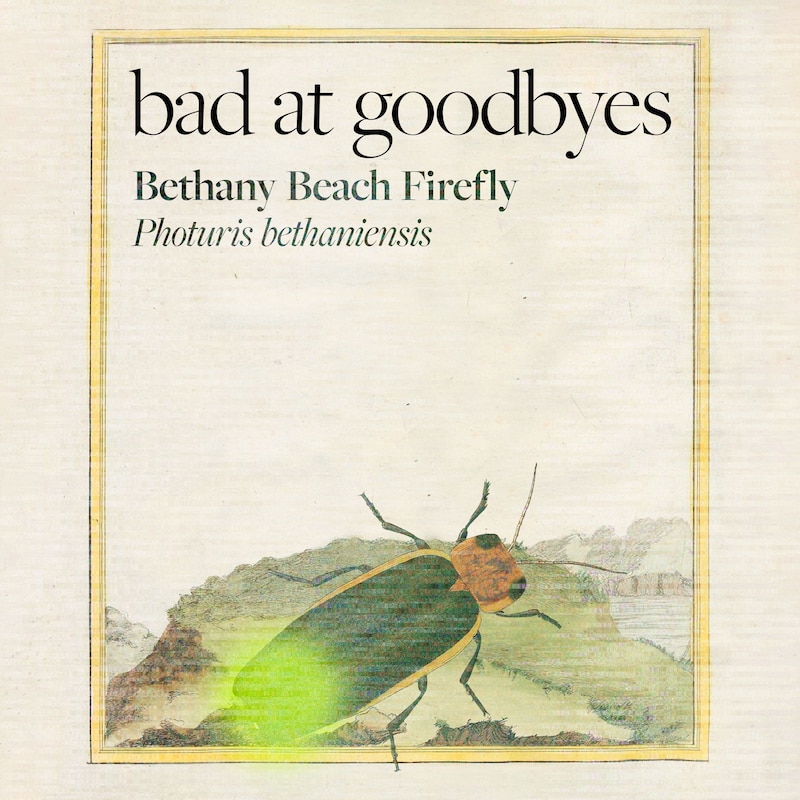 Artwork for podcast Bad at Goodbyes