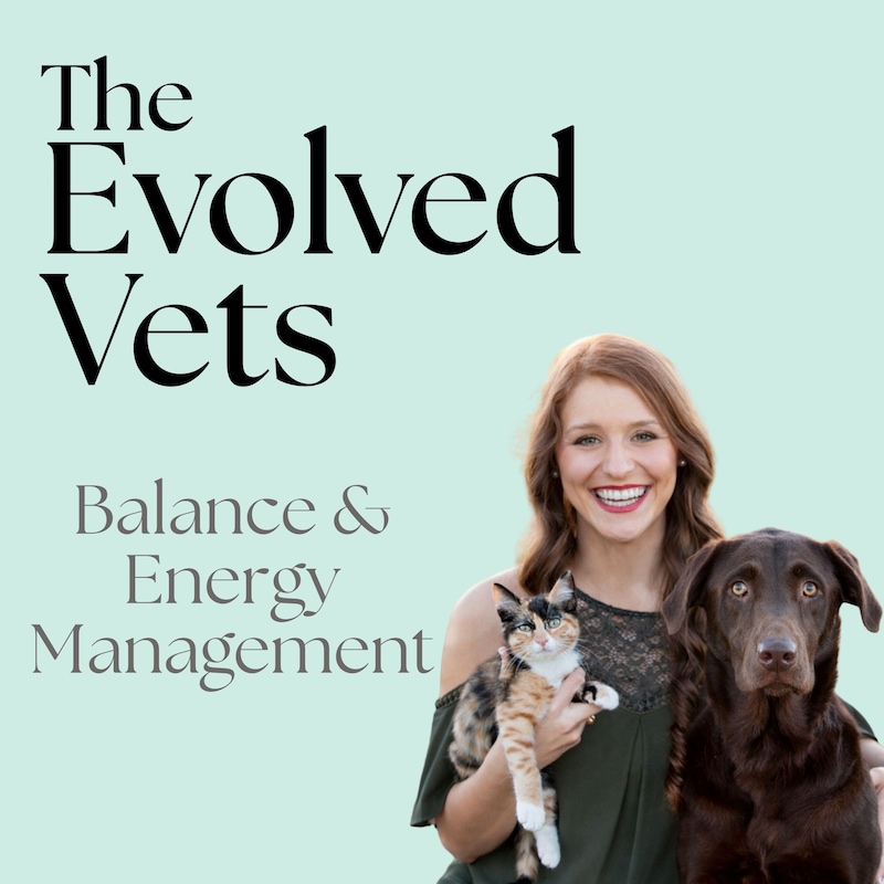 Artwork for podcast The Evolved Vets