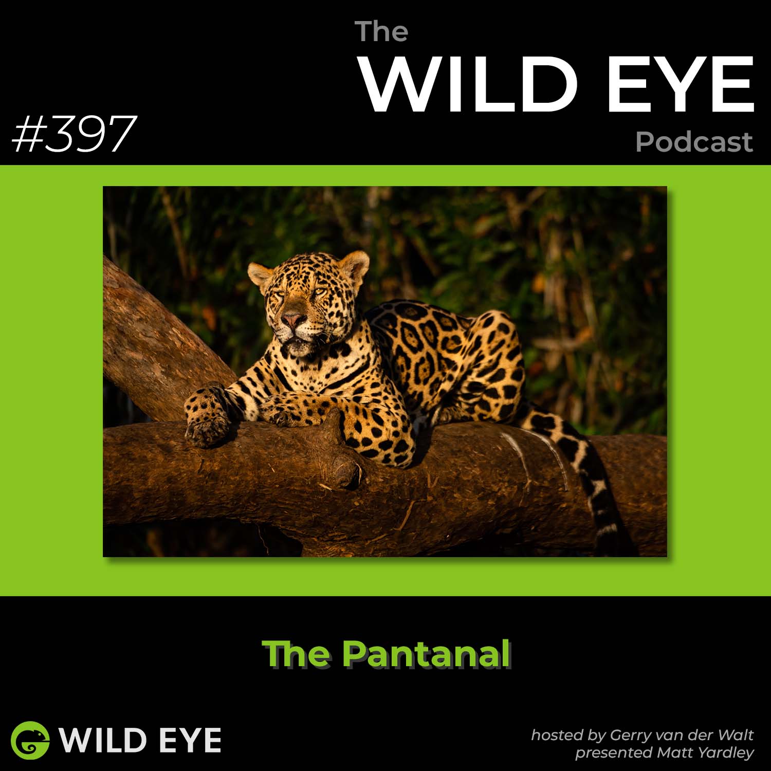 #397 - The Pantanal