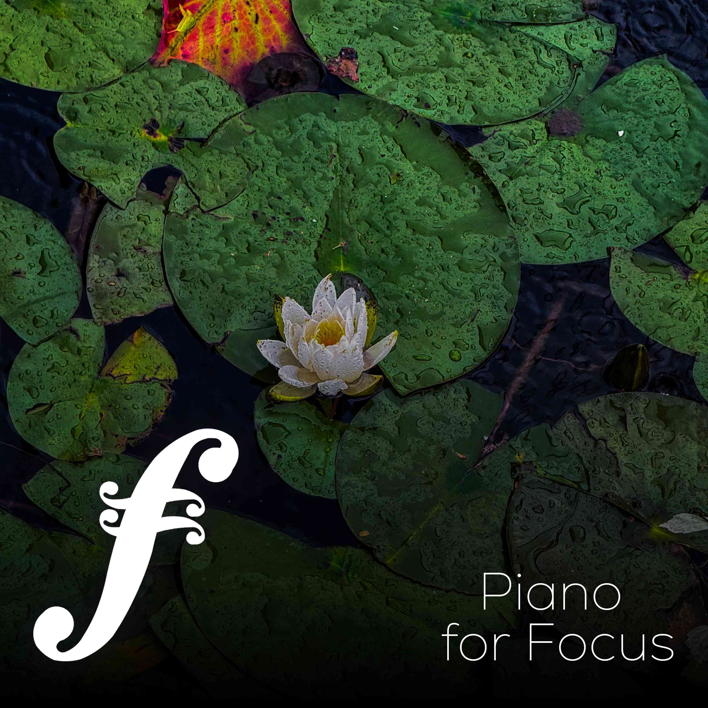 Piano Music for Focus with Gray Treefrogs - 3 Hours - "For Nights on End" episode artwork