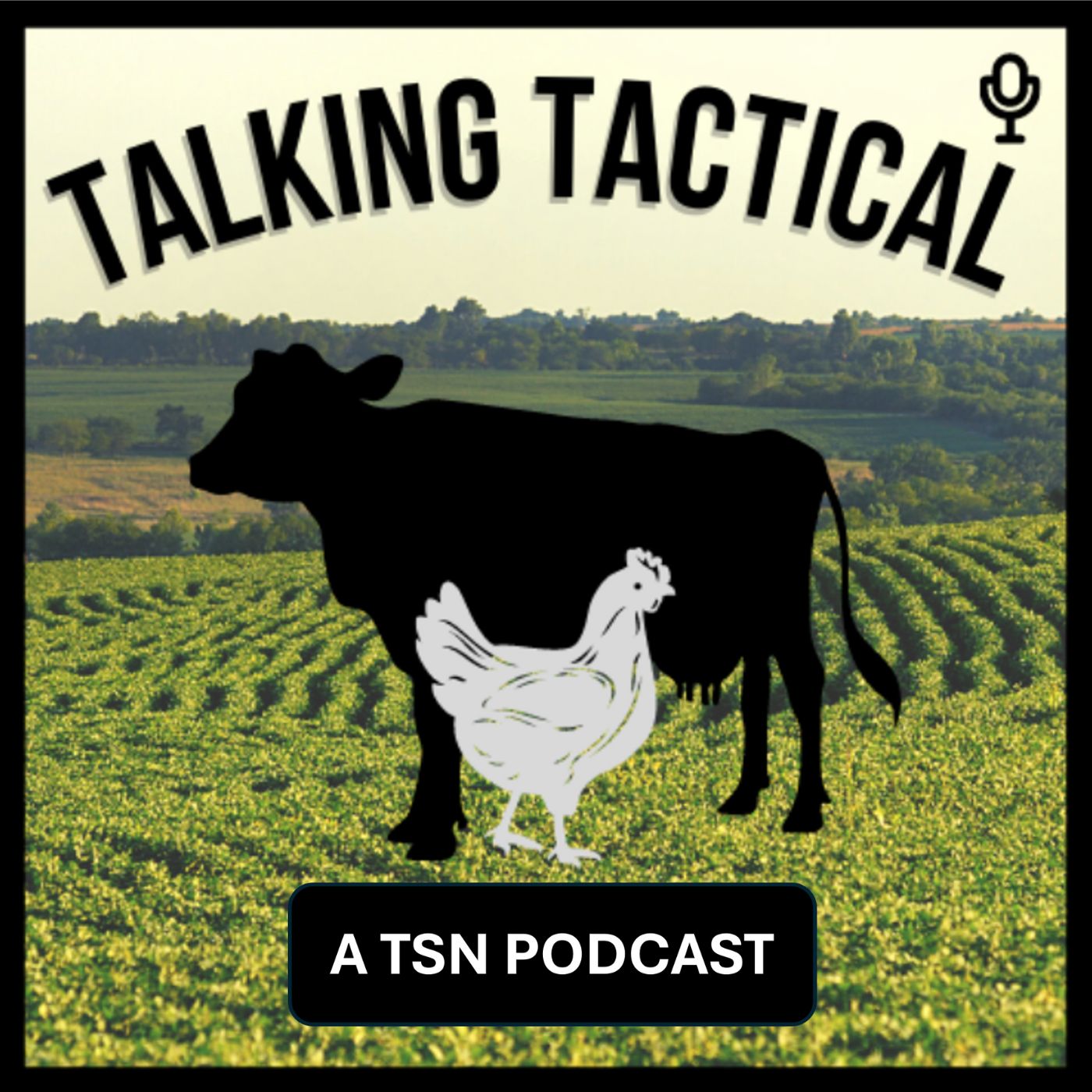 Talking Tactical